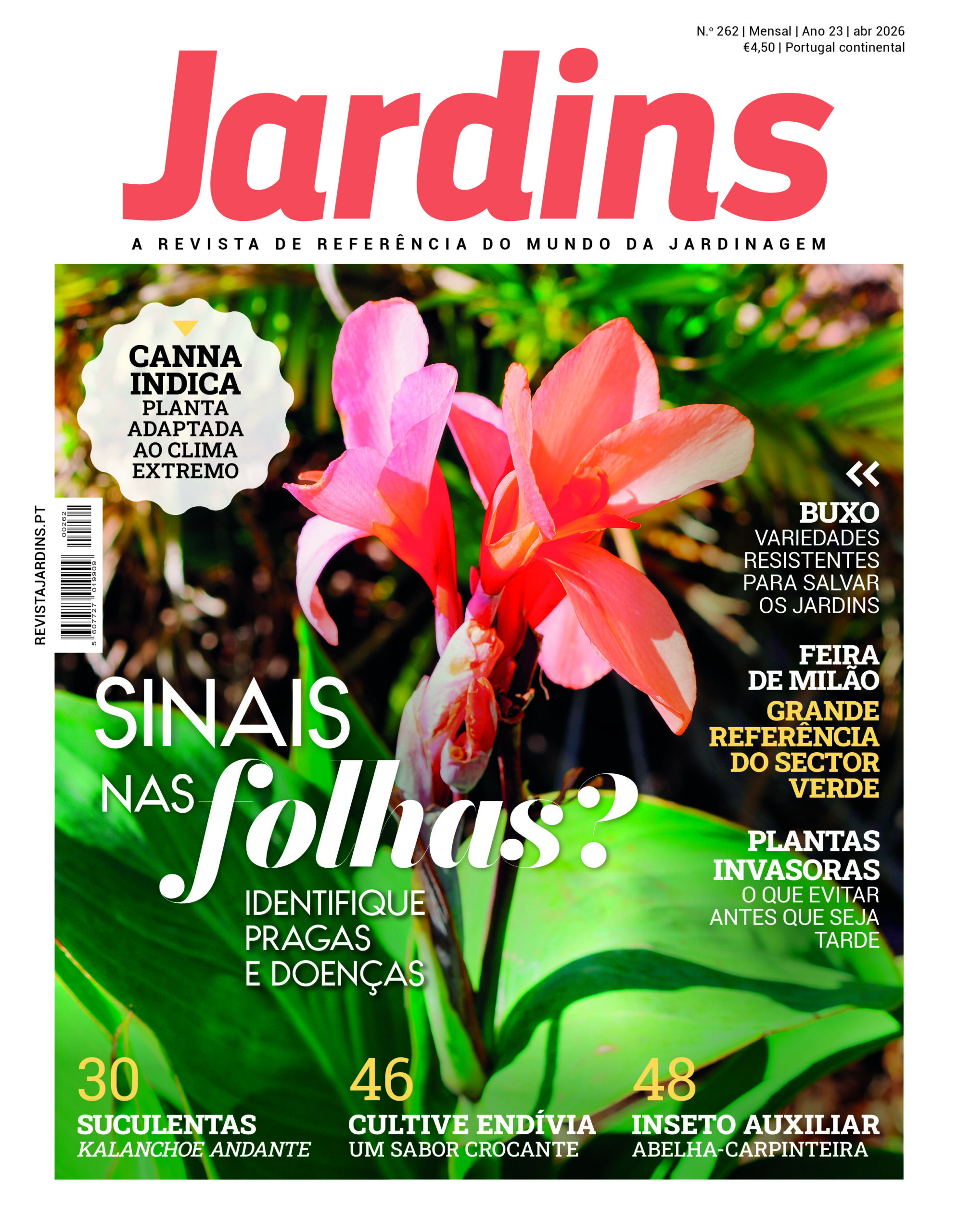 Nº 262 - Abril, 2026