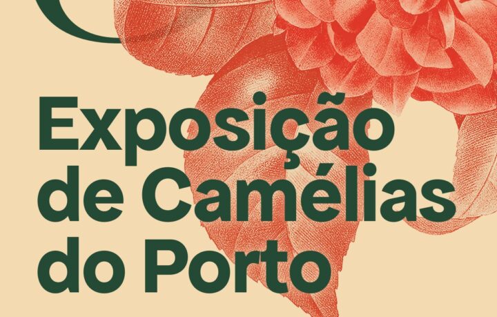 Elemento de comunicação da exposição de camélias do porto