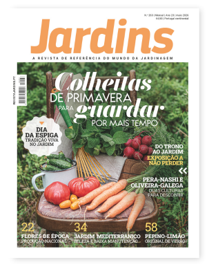 Nº 263 - Maio, 2026