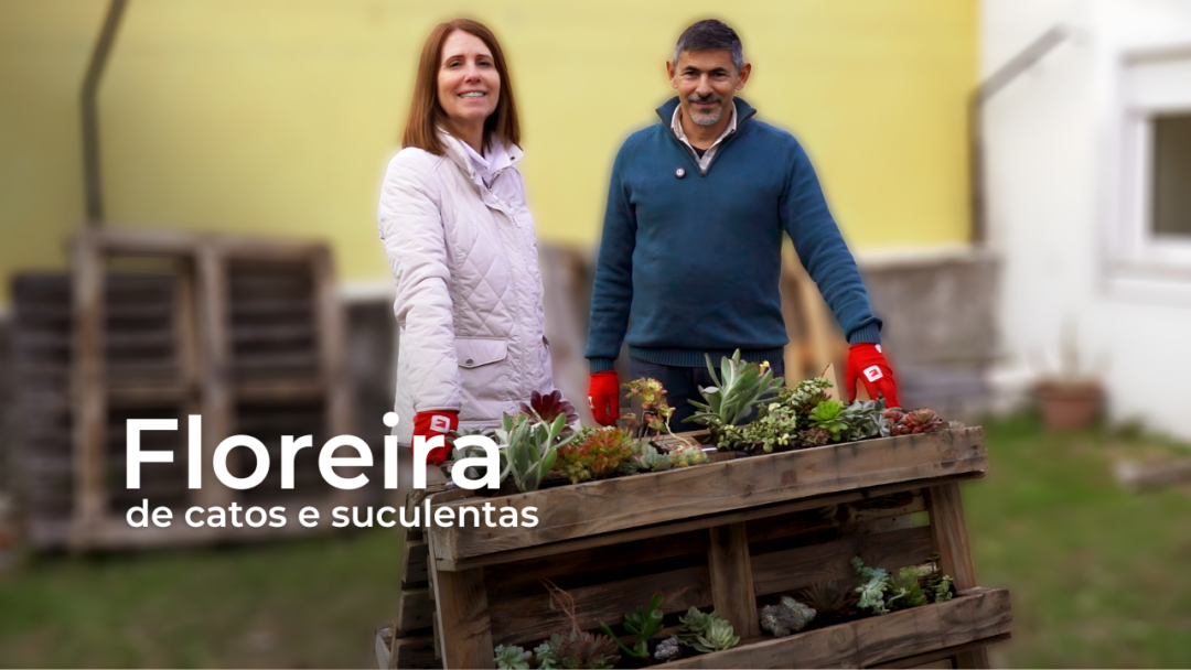 capa video floreira catos e suculentas