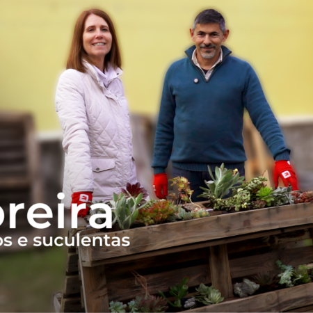 capa video floreira catos e suculentas