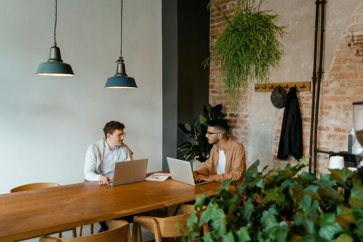 ambiente com mesa de reuniões e plantas para escritório