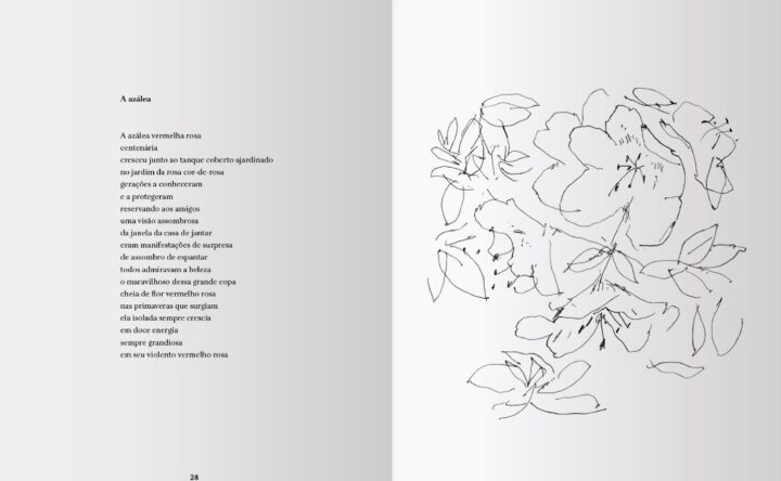 interior do livro do sono verde