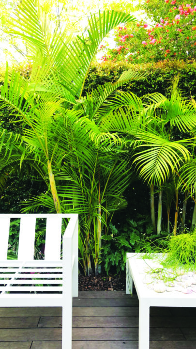 jardim de estilo tropical