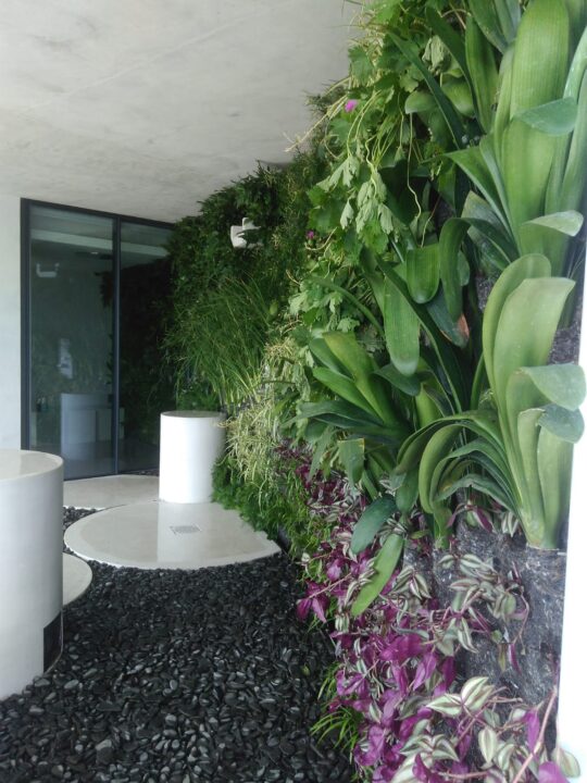 jardim vertical