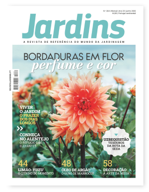 Nº 264 - Junho, 2026