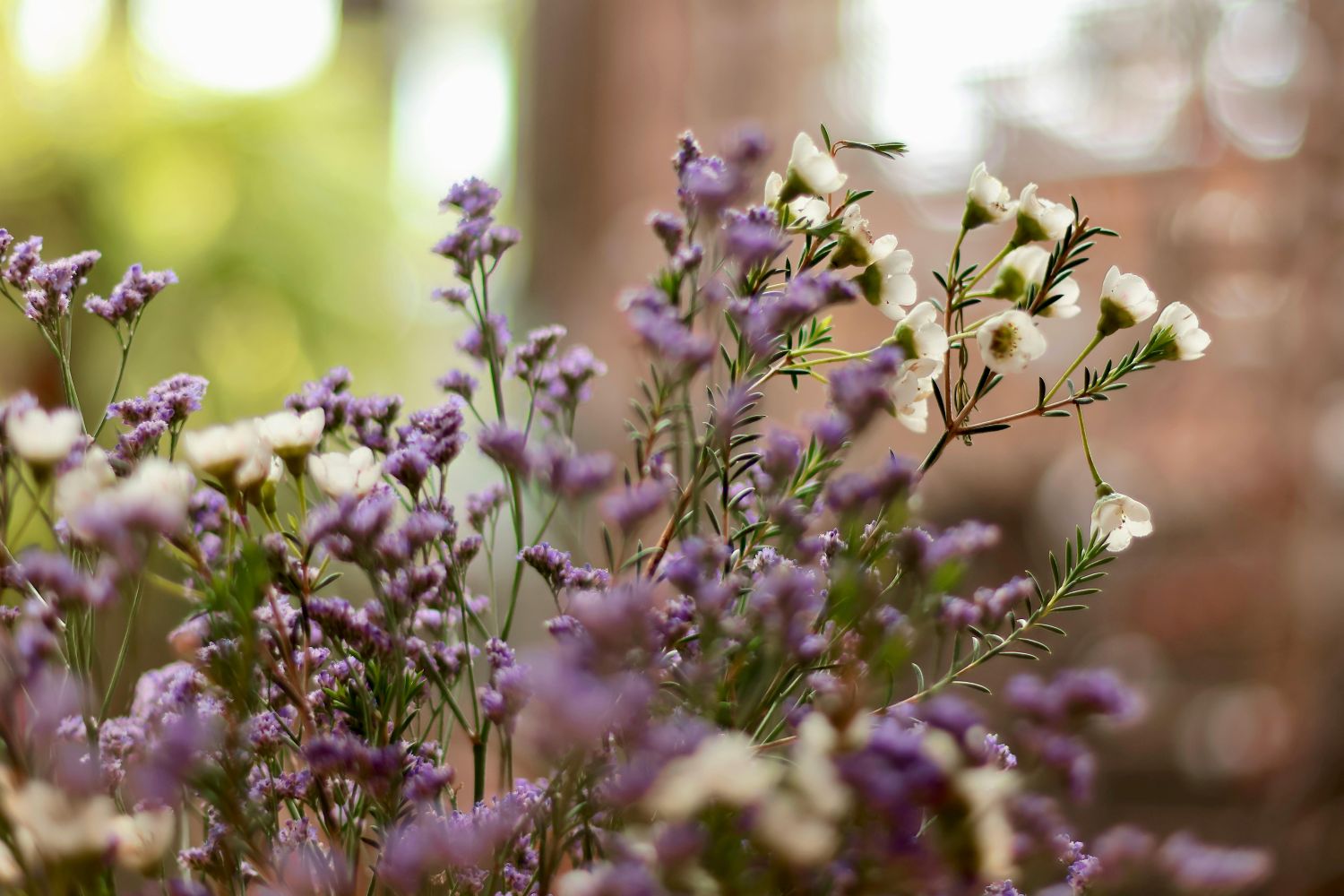 flores brancas e liláses de limonium