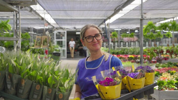 garden center florisul