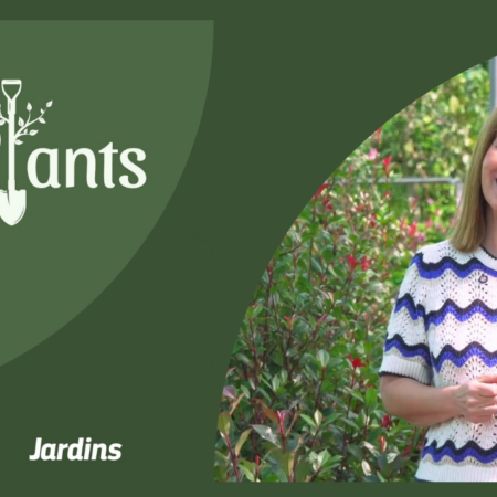 capa video plantas para sebes