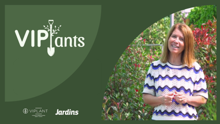 capa video plantas para sebes