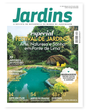 Nº 265 - Julho, 2026