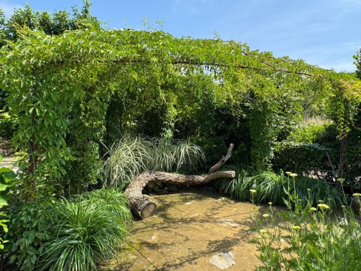 jardim vencedor da edição de 2025 do Festival Internacional de Jardins de Ponte de Lima
