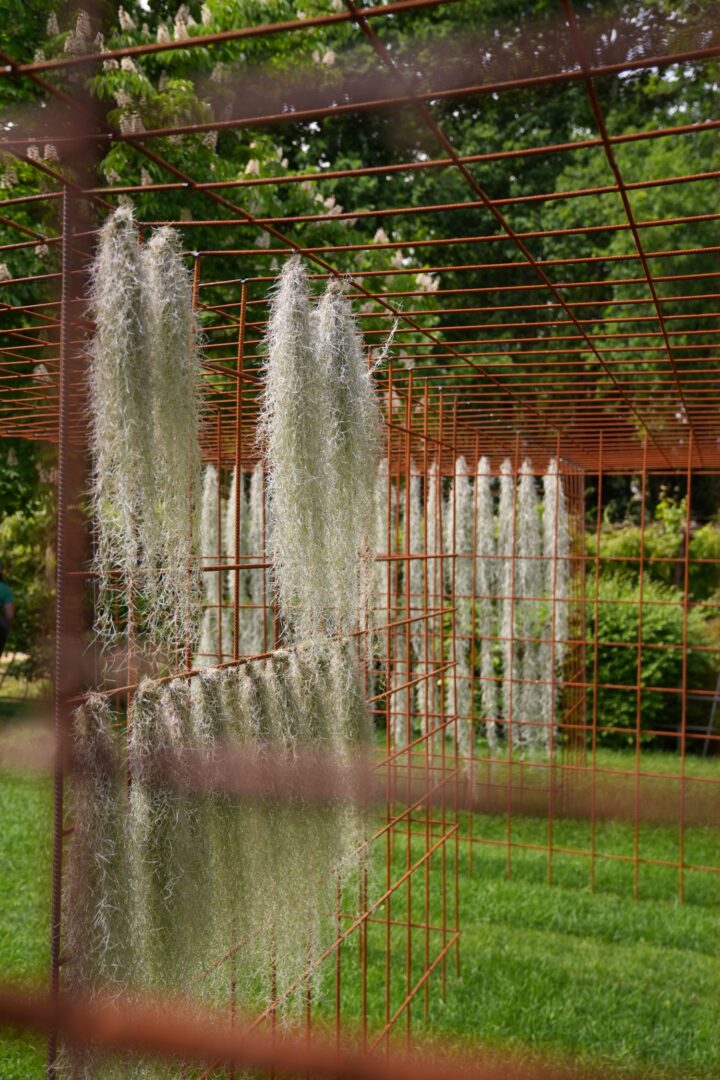 Jardim 2 - Festival Internacional de Jardins de Ponte de Lima 2026