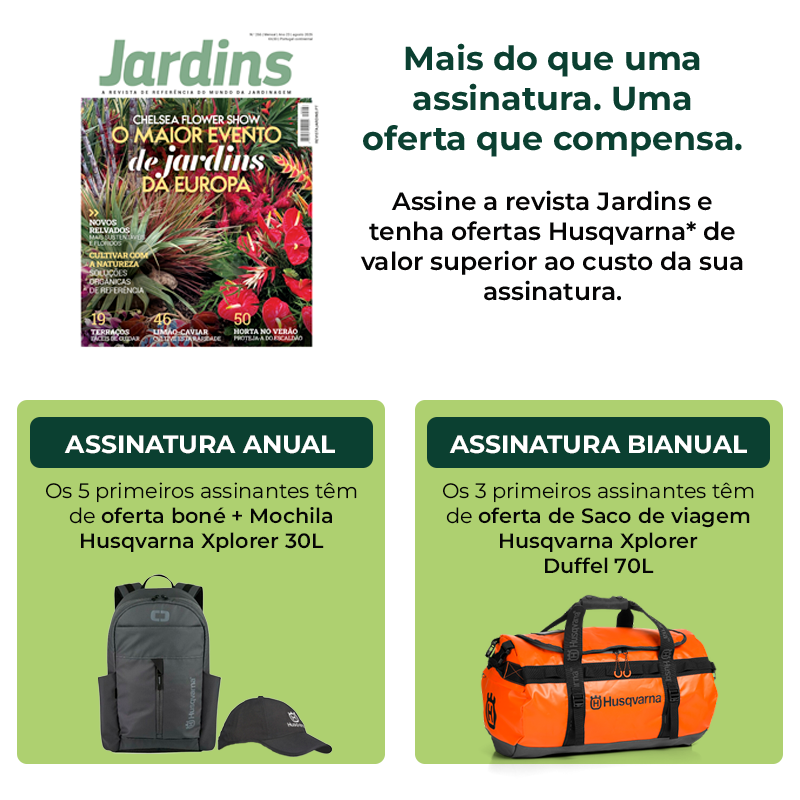 Agora a sua assinatura vale mais do que paga!