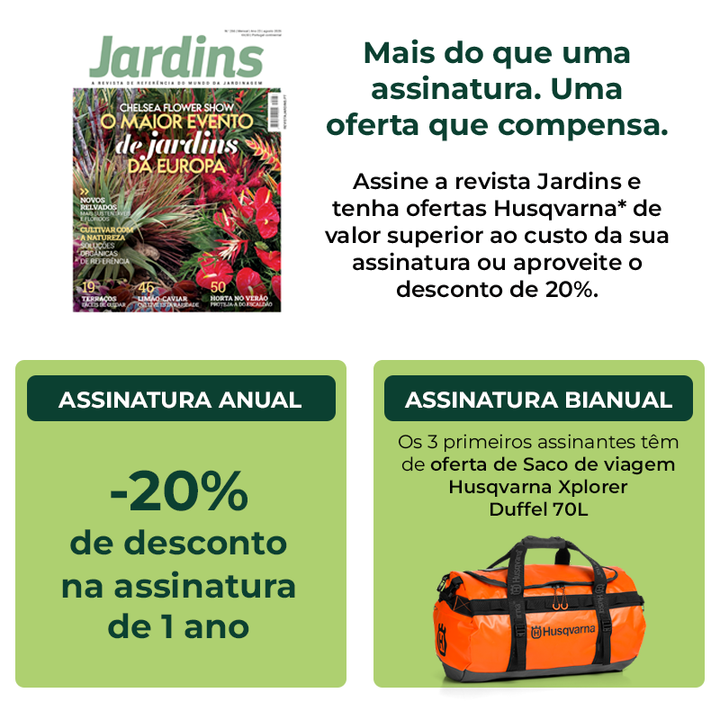 Agora a sua assinatura vale mais do que paga!
