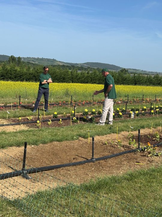 KB - Campo para ensaios