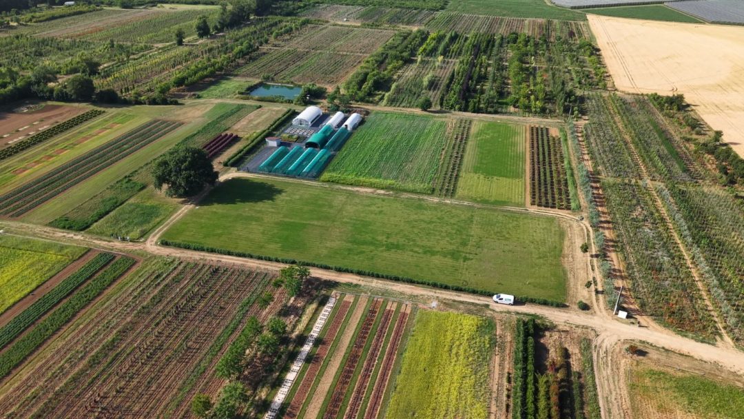 campos de produção KB
