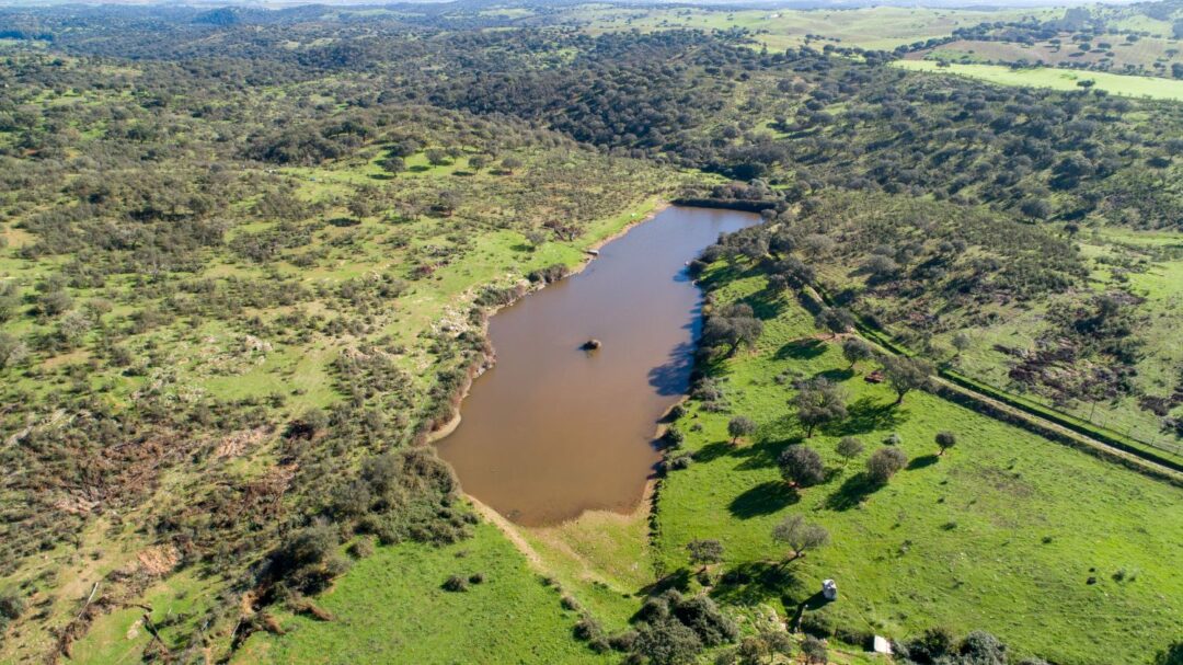 vista aérea da reserva para elefantes no Alentejo, Pangea