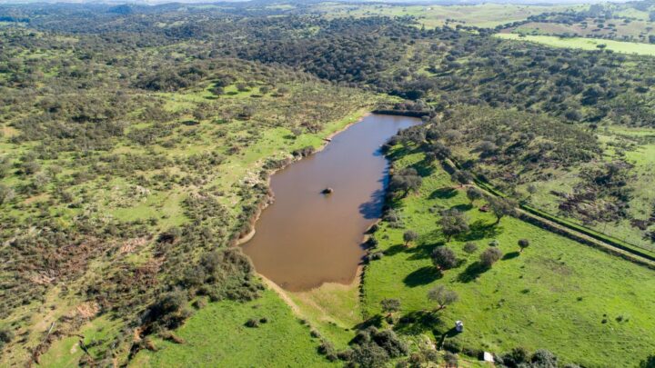 vista aérea da reserva para elefantes no Alentejo, Pangea
