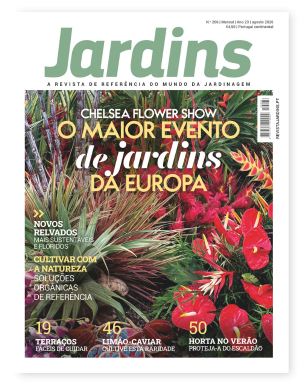 Nº 266 - Agosto, 2026