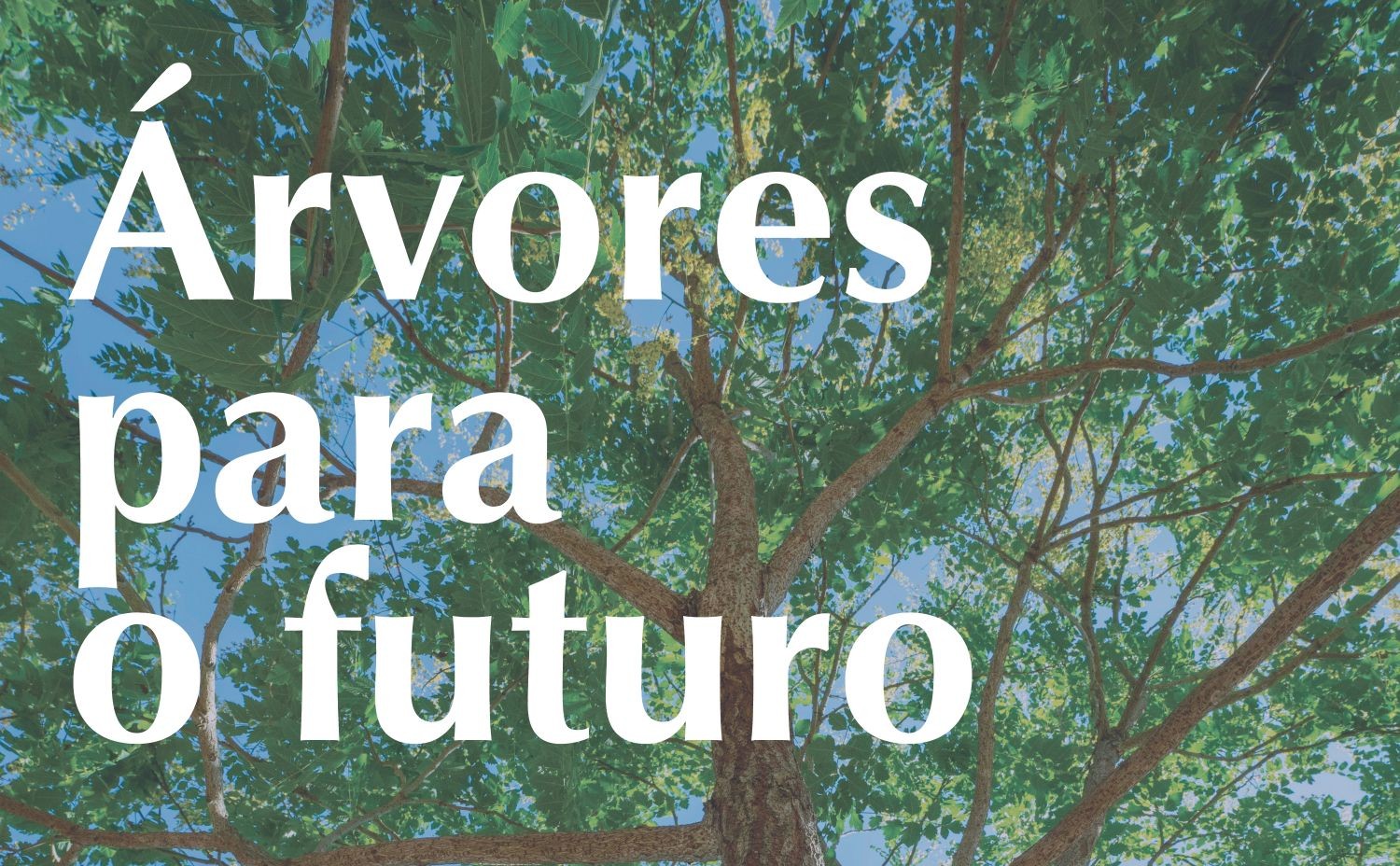 Arvores para futuro - evento