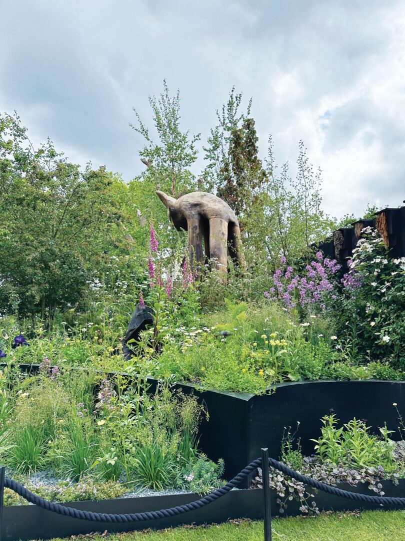 The Bat Conservation Garden - chelsea flower show 2026