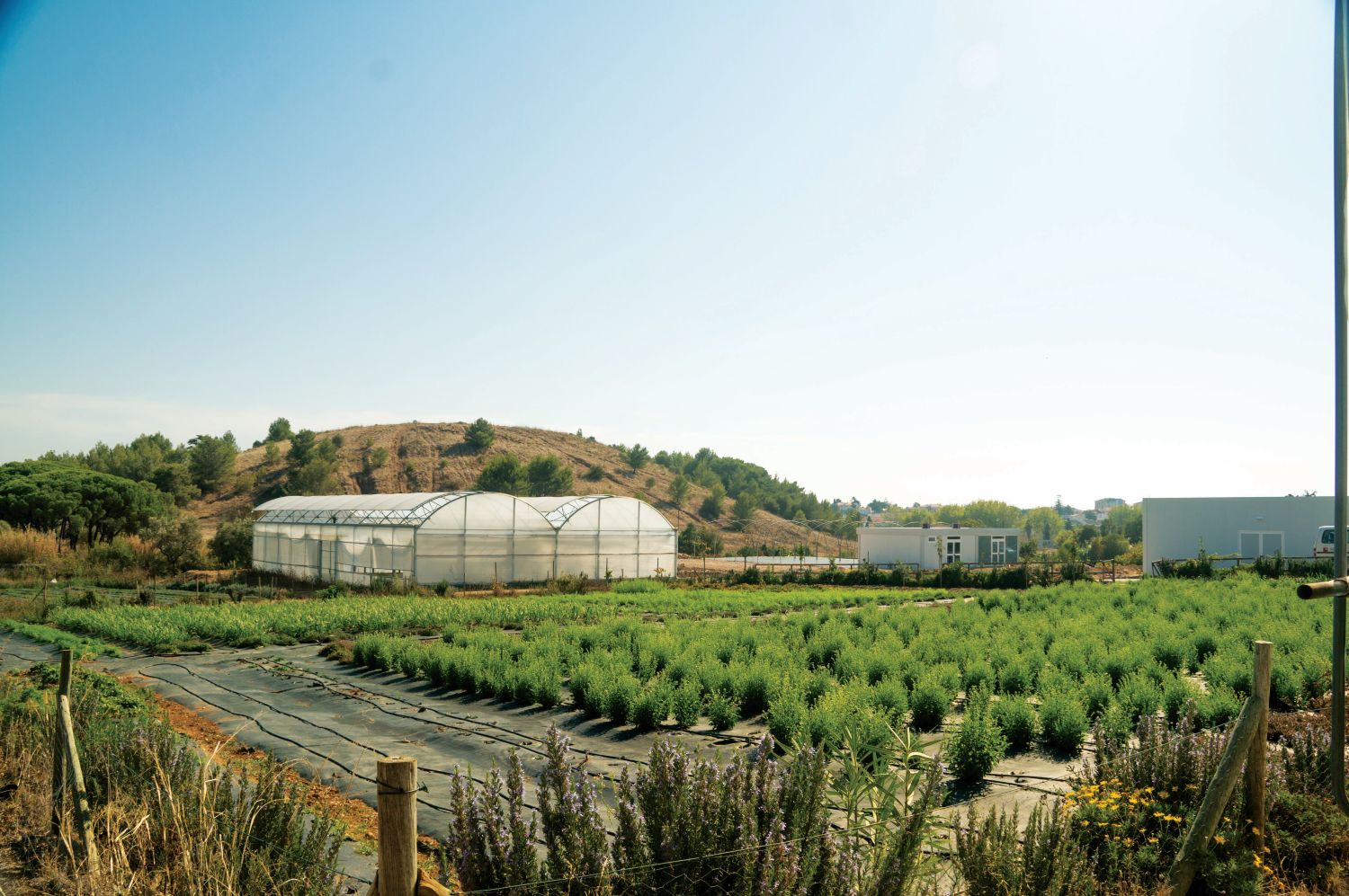 campos da cercica - projeto cerplant