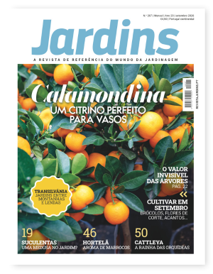 Nº 267 - Setembro, 2026