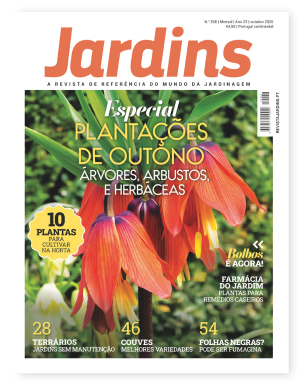 Nº 268 - Outubro, 2026