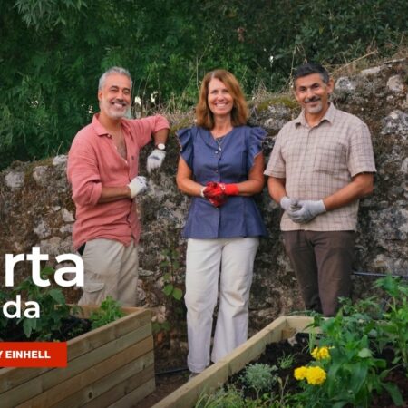 horta elevada - vídeo patrocinado pela einhell