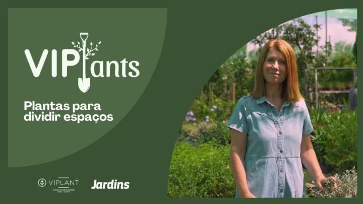 Capa do vídeo 'Plantas para dividir espaços'