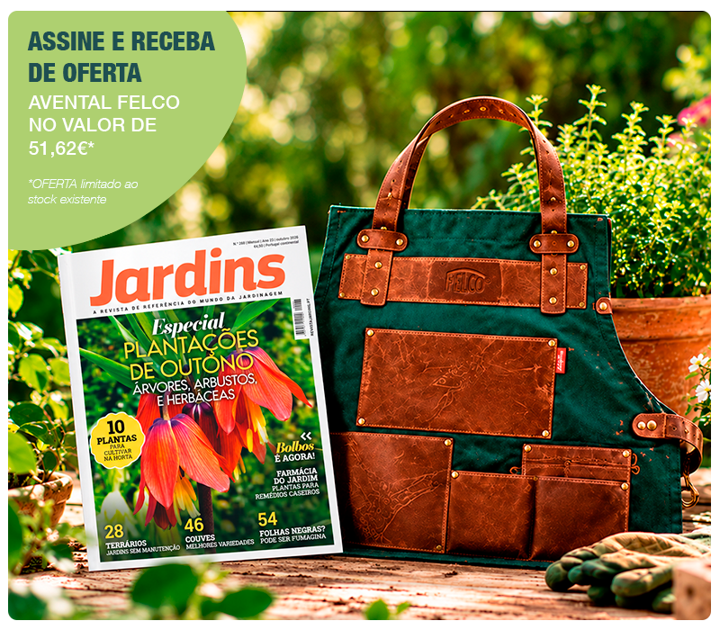 A inspiração vem na Jardins. O resto acontece no jardim. Pronto para meter as mãos na terra?