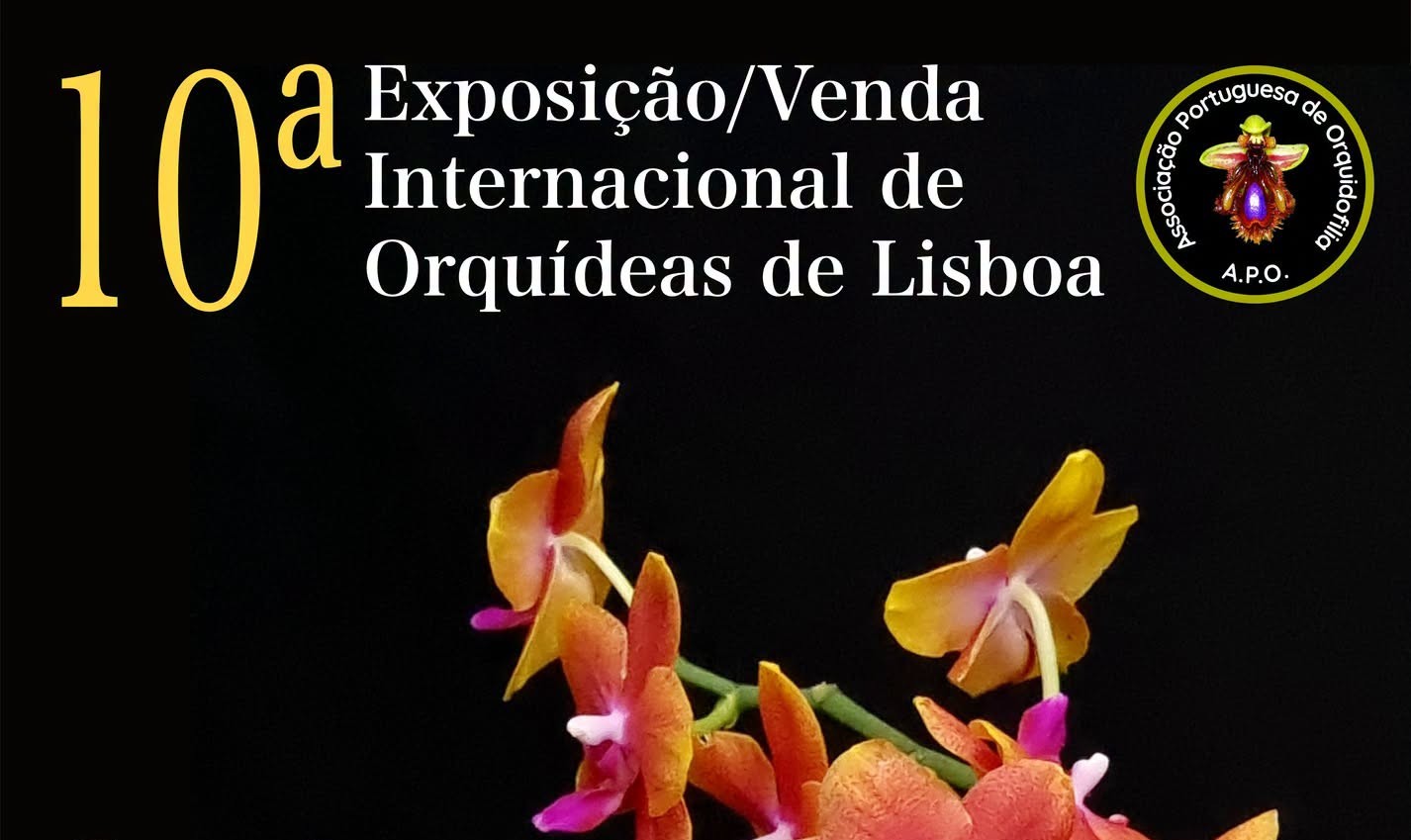 venda de orquideas em lisboa