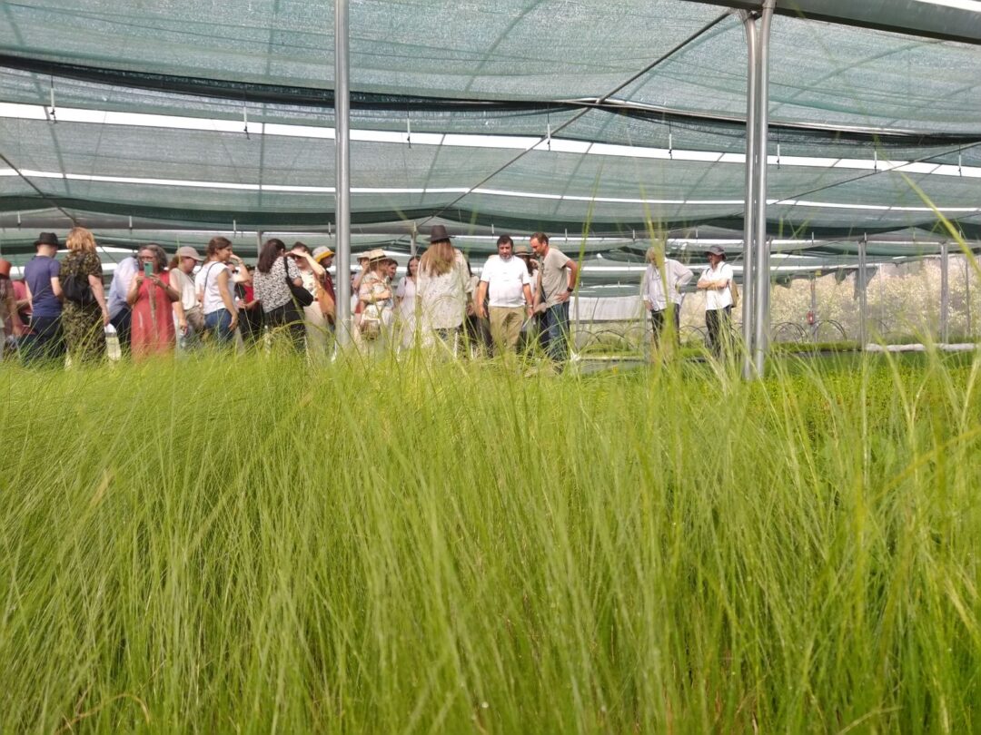 Planting Wild, na Sigmetum, promovido pela Academia da Paisagem