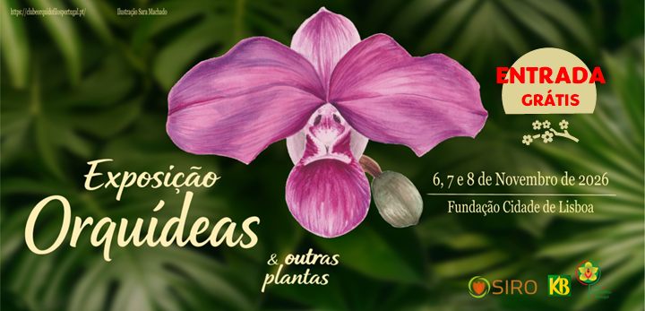 exposição de orquídeas em lisboa