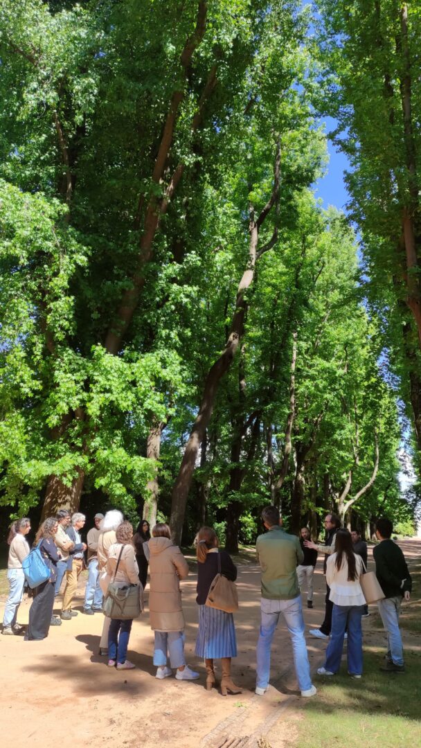 Visita a Serralves