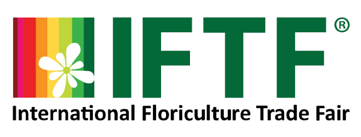 IFTF